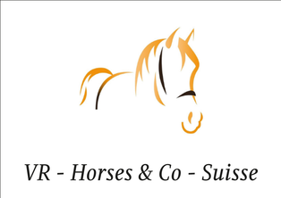 VR Horse&Co